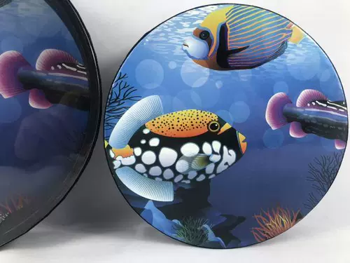 Профессиональный барабан-качалка, морские музыкальные инструменты, ударные инструменты, 8 дюймов, 10 дюймов, звуковые эффекты