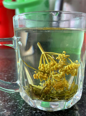 2025新茴香浏阳北乡小茴香 烟茶湖南茴香茶 干茴香带杆晒干泡茶