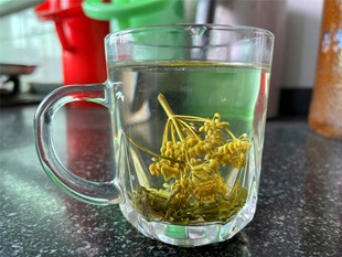 2025新茴香浏阳北乡小茴香 烟茶湖南茴香茶 干茴香带杆晒干泡茶