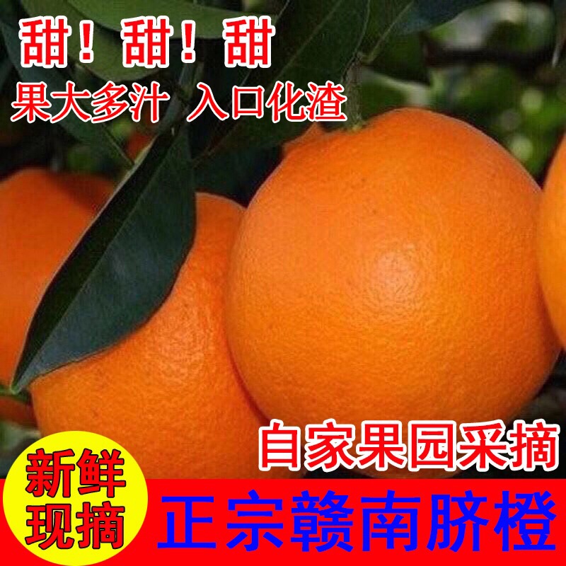 正宗赣南夏橙10斤包邮赣南夏橙香甜多汁橙子农家果园现摘现发应季