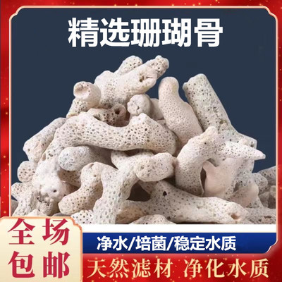 天然珊瑚骨鱼缸过滤材料