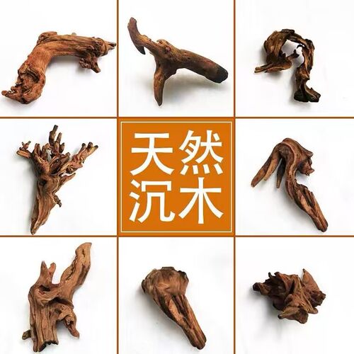 鱼缸造景沉木杜鹃根木头