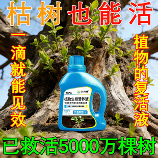 强力生根剂育苗快速生根盆栽绿植营养液树木壮苗剂救树药水复活液