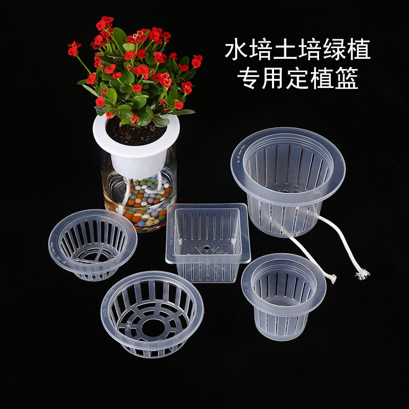 清沁水培瓶定植篮塑料固根器棉绳加深固定网无土栽培花卉绿植盆栽