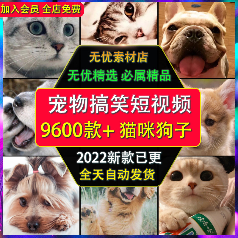 萌宠物搞怪可爱小狗猫咪滑稽搞笑配音段子高清无水印视频剪辑素材