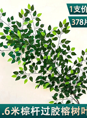 仿真榕树叶过胶塑料榕树枝绿色植物银杏红枫叶子假树枝装饰造景