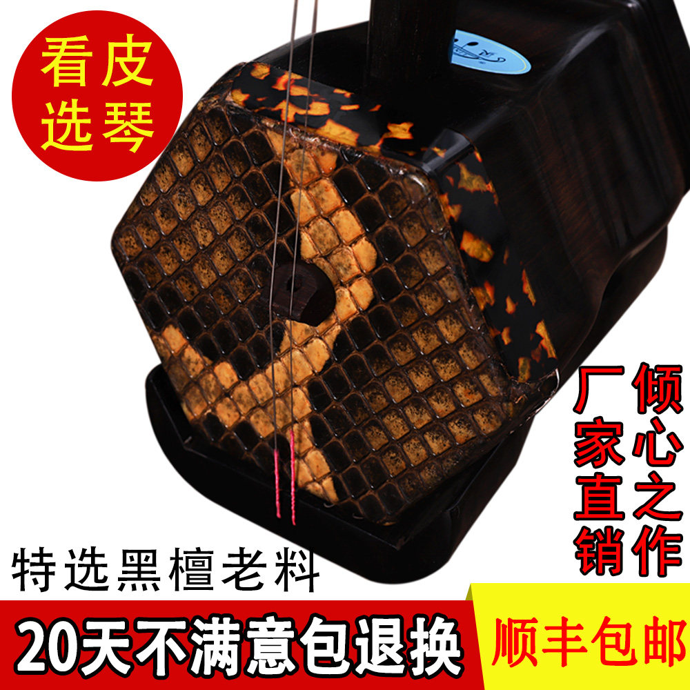 黑檀二胡乐器专业演奏考级初学者成人儿童大音量胡琴张军厂家直销