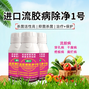 进口流胶病除净1号杀菌剂 桃树黄瓜果树流胶病专用药细菌性穿孔病