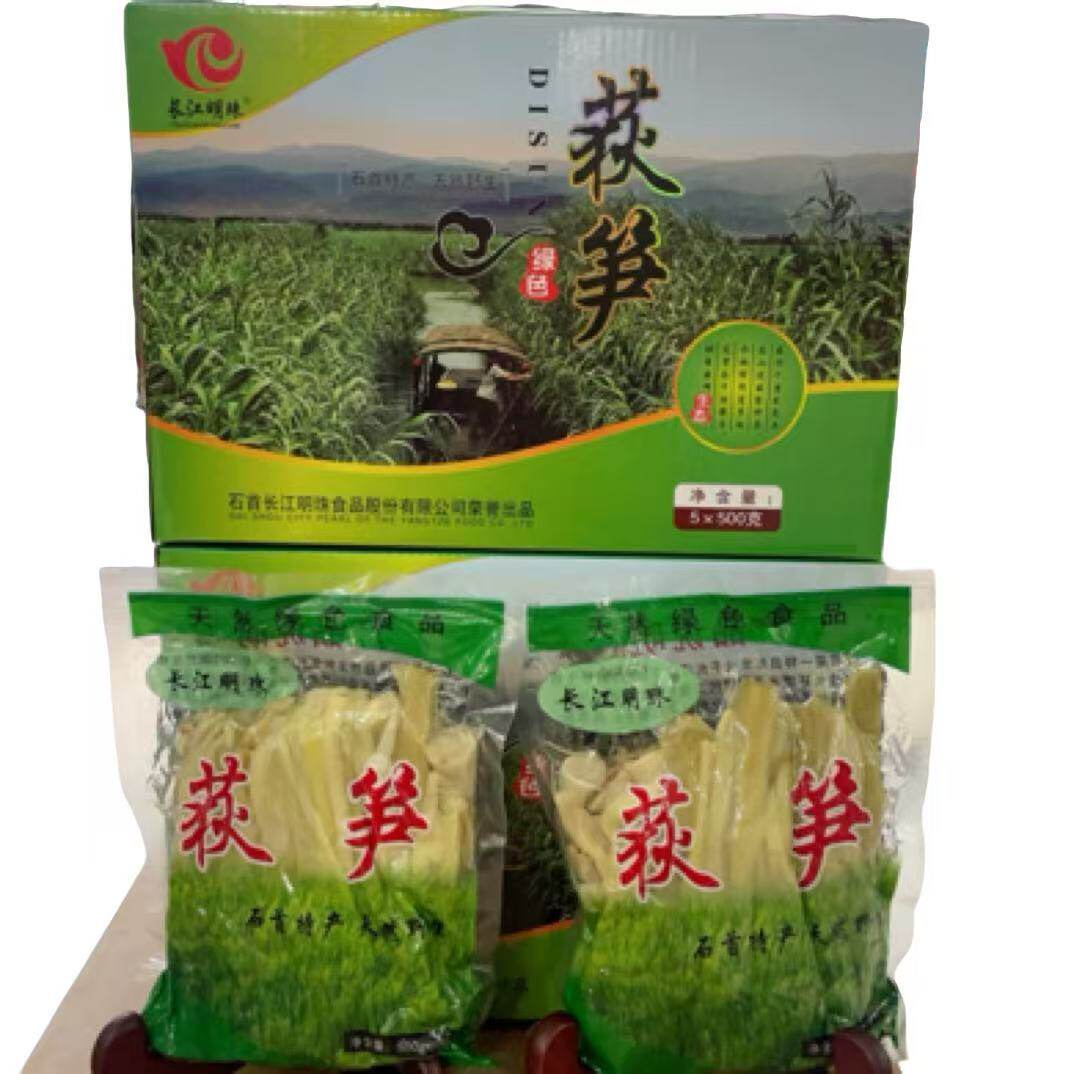 石首柴笋子 芦苇笋湖北荆州特产荻笋