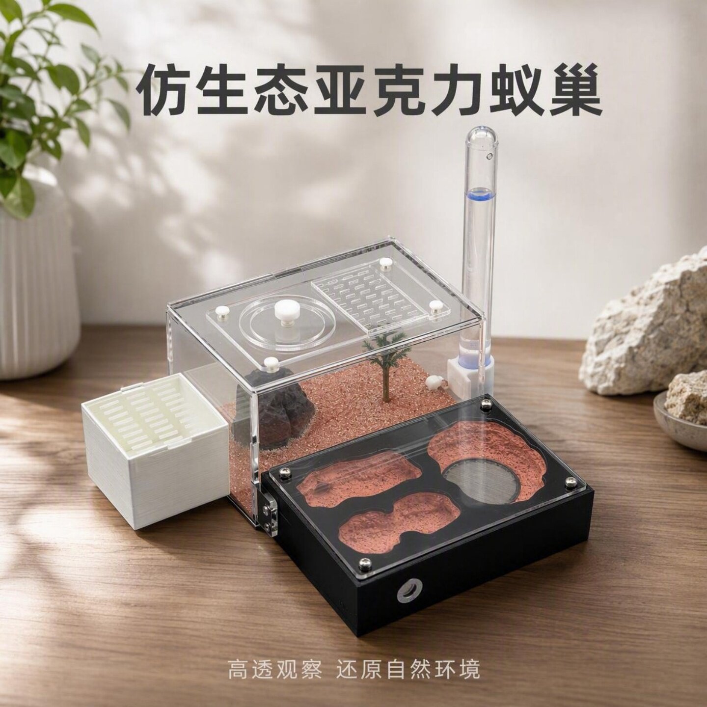 亚克力蚂蚁巢饲养盒保湿遮光