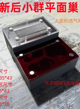 3D平面巢新后小群蚂蚁巢蚂蚁窝