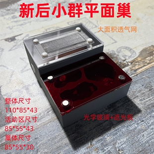 3D平面巢 新后小群蚂蚁巢蚂蚁窝 新款