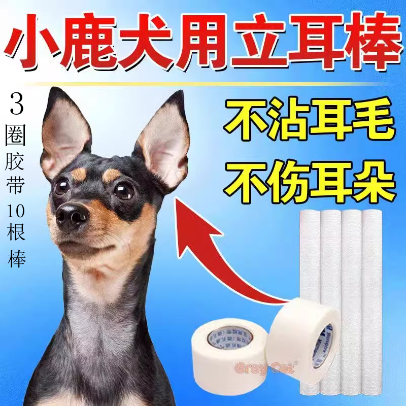 小鹿犬专用立耳棒立耳贴狗狗耳朵竖耳辅助器矫正支架固定神器幼犬