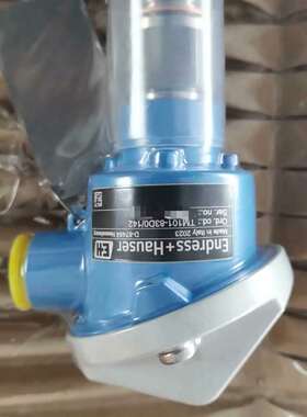 议价E+H 温度计 TM101-AACCA4BA2H1A1TM适用