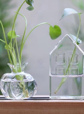 水培植物容器小房子石榴玻璃瓶