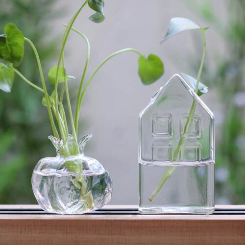 水培植物容器小房子石榴玻璃瓶