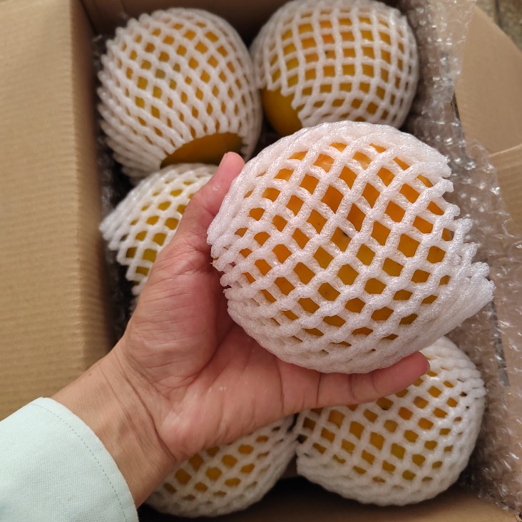正宗信宜大成北梭甜脆柿子精选大果当季水果新鲜现货富有甜脆柿子