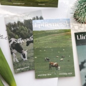 远方风景文艺明信片简约ins 生日祝福创意贺卡留言新年小卡片