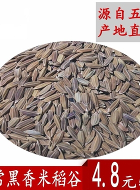 25年新五常黑香米稻谷带壳黑米农家黑稻子500g东北黑水稻现磨现卖