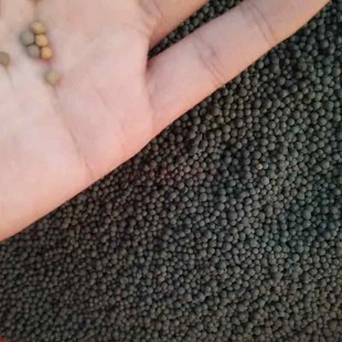 水族鱼缸底砂造景沙天然净水免洗陶粒营养沙土水草泥天然过滤基肥