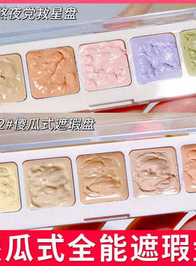 彩色遮瑕盘橘色三文鱼色脸部遮暇