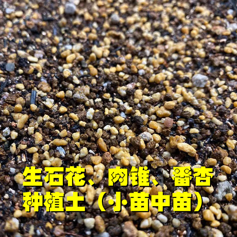 多肉植物专业配方营养土天然颗粒土肉锥生石花风铃玉植物小苗中苗