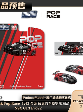 [PDS]Enigma&PopRace 1:64 NSX GT3 Evo22 合金 汽车模型 收藏品