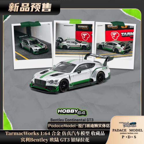 宾利Bentley欧陆GT3银绿拉花