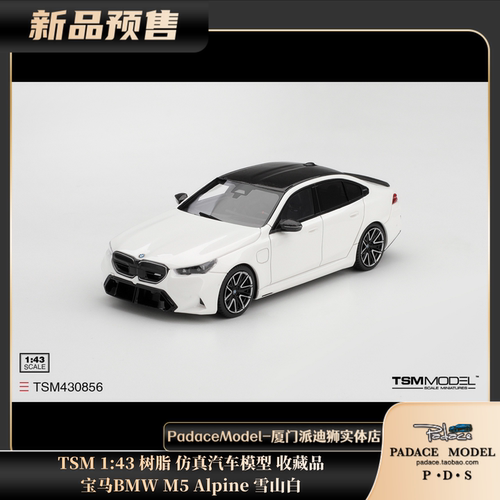 TSM143宝马BMWM5Alpine雪山白