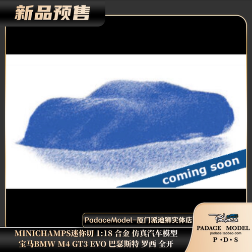 宝马M4GT3EVO巴瑟斯特全开