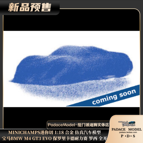 宝马M4GT3EVO保罗里卡德全开