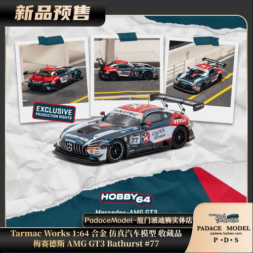 梅赛德斯AMGGT3Bathurst#77