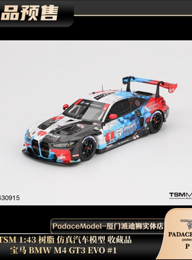 [PDS]TSM 1:43 宝马BMW M4 GT3 EVO #1 树脂 仿真汽车模型 收藏品