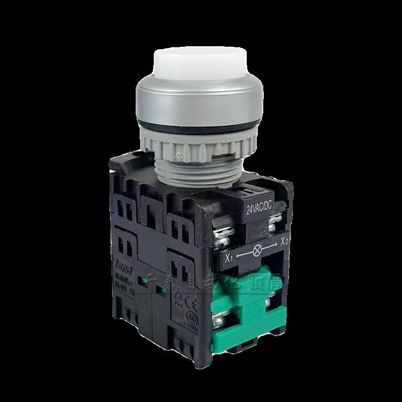 TN2IL2G-L1AB按钮开关TEND天得自复位TN2IA7G自锁24V凸头带灯22mm