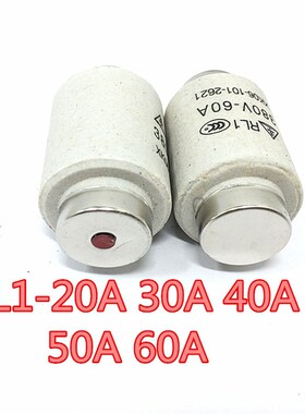 螺旋式熔断器RL1-60熔芯20A230A340A50A60A保险丝陶瓷熔断器