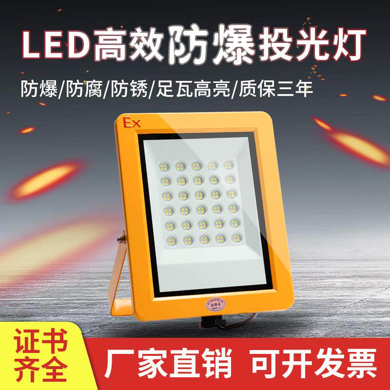 LED防爆灯50W100W投光灯泛光灯户外加油站燃气站仓库工厂射灯