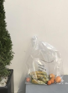 自制韩国INS字母透明塑料袋简约购物袋chic造型搭配拍照神器