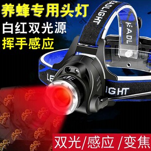 可感应红光头灯专用养蜂查蜂取蜜养蜂红白双光源调焦头戴式手电筒