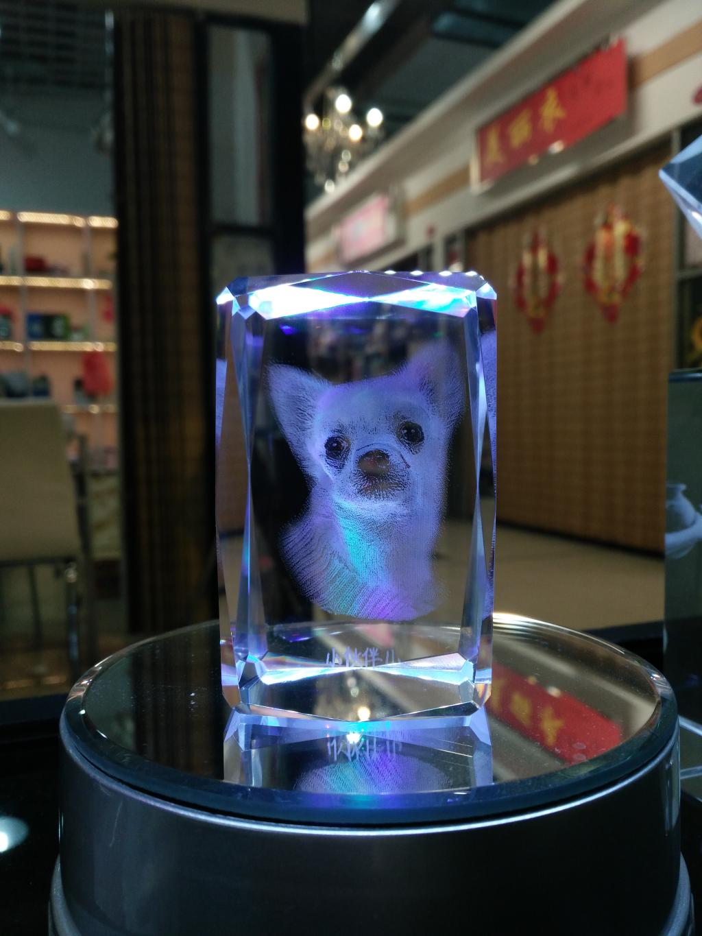3D宠物水晶订制，含底座