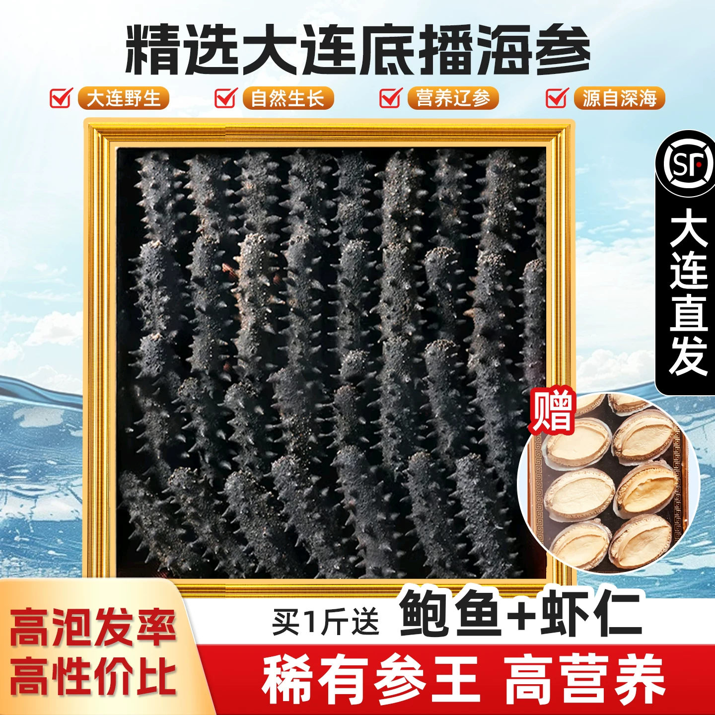 优选稀有辽参大连9年淡干海参干货深海辽刺参官方正品海参补品