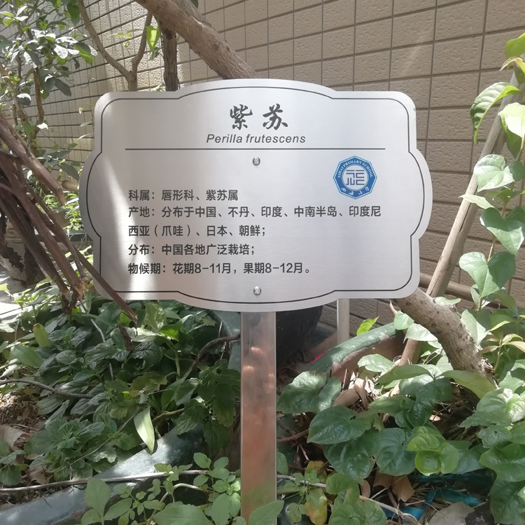花草植物介绍立牌定制户外标识学校公园草坪绿化禁止踩踏广告标牌