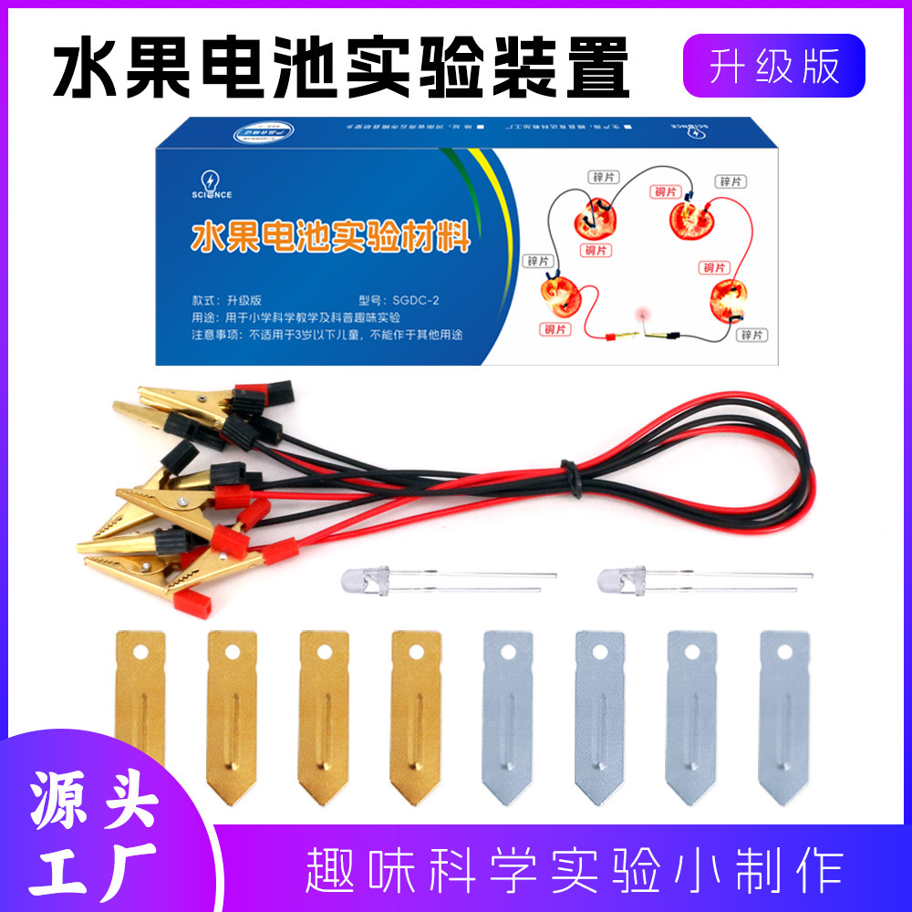 DIY自制水果电池科技小制作
