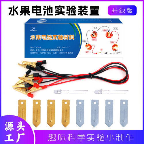 DIY自制水果电池科技小制作