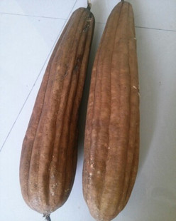 霜后老丝瓜络带皮丝瓜络丝瓜络洗碗丝瓜络煮水食用售陈丝瓜络包邮