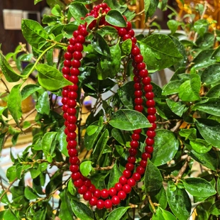 智悲佛缘红色怀业念珠7.8尺寸手串朱砂手链朱砂手串