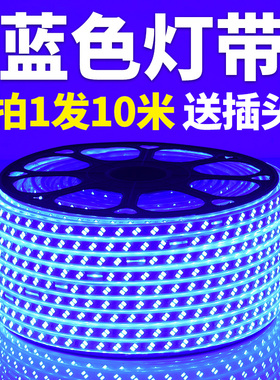 LED蓝光灯带条220V蓝色灯条超高亮天花吊顶KTV招牌灯箱装饰长条灯