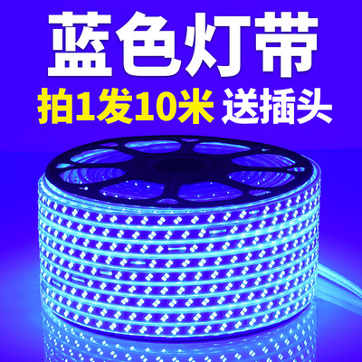 LED蓝光灯带条220V蓝色灯条超高亮天花吊顶KTV招牌灯箱装饰长条灯