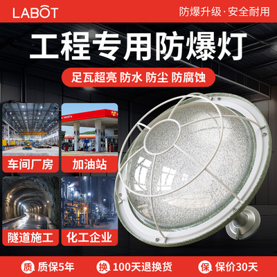 国标工业led防爆灯防水防尘