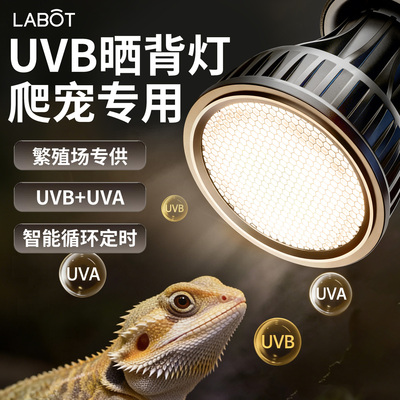 全光谱爬宠晒背灯uvb射灯灯泡