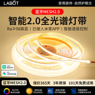 已接入米家APP智能cob灯带双色温语音无极调光客厅双眼皮线形灯顶